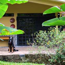Mariposa Casita (two-bedroom villa)